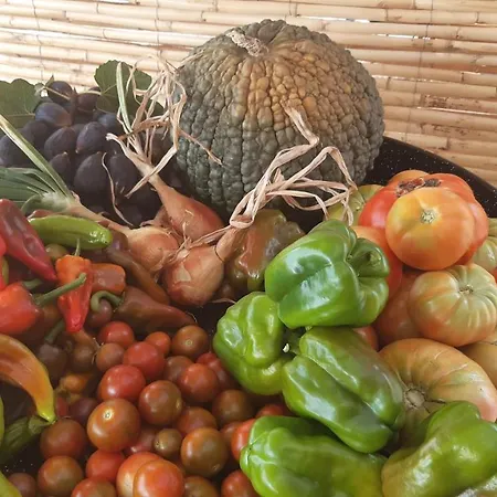 Tienda Glamping Farm Marias Estepona