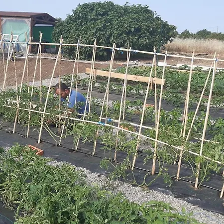 Tienda Glamping Farm Marias Lüks kamp alanı Estepona